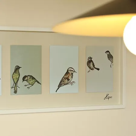 Haus Sarah 3 Am Lorenweg 10 Appartement Göhren-Lebbin