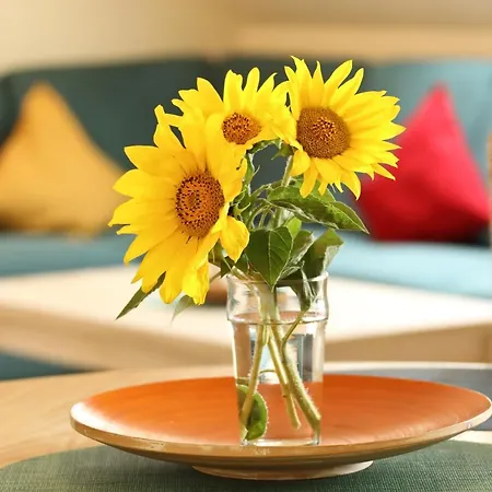 Appartement Haus Sarah 3 Am Lorenweg 10 Göhren-Lebbin