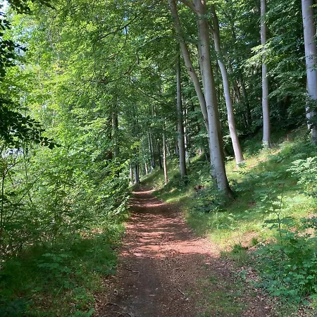 Haus Sarah 3 Am Lorenweg 10