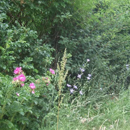 Haus Sarah 3 Am Lorenweg 10 Göhren-Lebbin